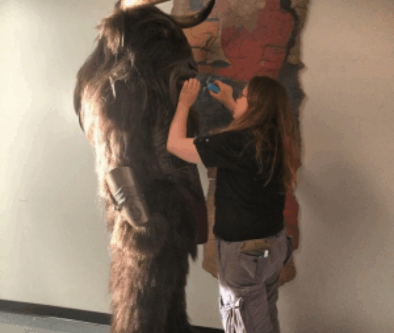 Ravenous Studios